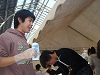 pipu16277_thumb.png
