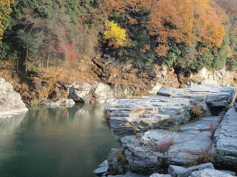 pipu0145.jpg