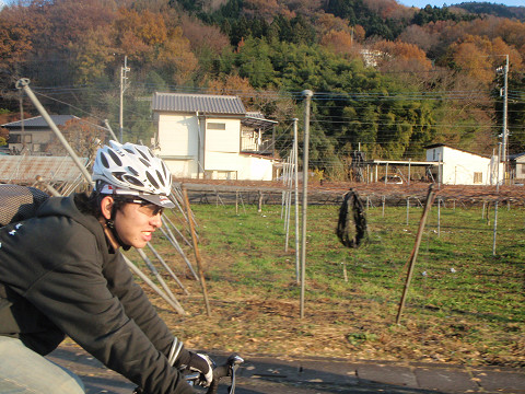 pipu0161.jpg