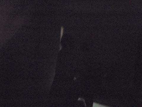 pipu0220.jpg