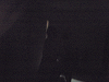 pipu0220_thumb.png