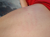 pipu0409_thumb.png